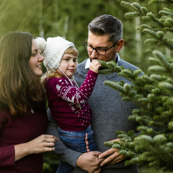 Weihnachtszauber im Tannenwald
