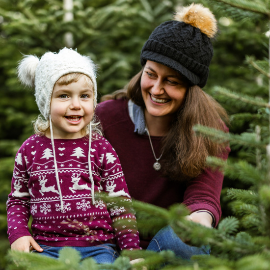 Weihnachtszauber im Tannenwald