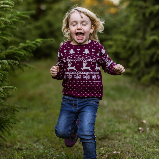Weihnachtszauber im Tannenwald