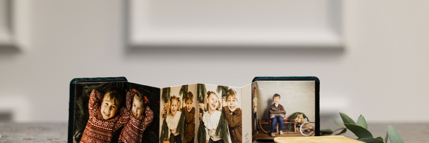 Minileporellos als Geschenkidee